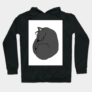 Gray cat sleeps Hoodie